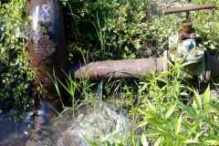 izobrazhenie_viber_2020-05-17_08-42-34