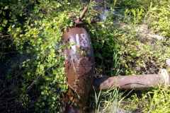 izobrazhenie_viber_2020-05-17_08-42-35
